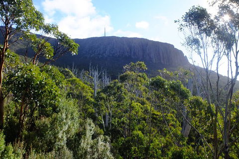 Mt. Wellington Morning Hike + Afternoon Beer & History Walk - Perisher Accommodation 4
