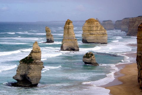 LGBT+ Friendly 2 Day Private Tour Great Ocean Road + Phillip Island - Perisher Accommodation 0