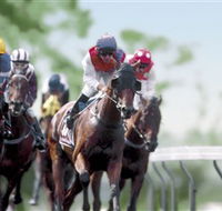 Colac Turf Club - Perisher Accommodation