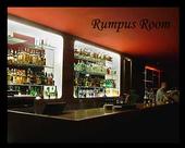 Rumpus Room - Perisher Accommodation 3