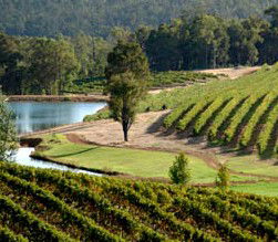 Brookhampton Estate Vineyard - Perisher Accommodation 0