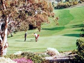 Victor Harbor Golf Club - Perisher Accommodation 1