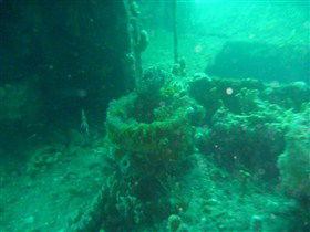 Wallaroo Scuba Club - Perisher Accommodation 0