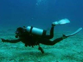 Wallaroo Scuba Club - Perisher Accommodation 1