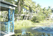 Bushland Tavern - thumb 2