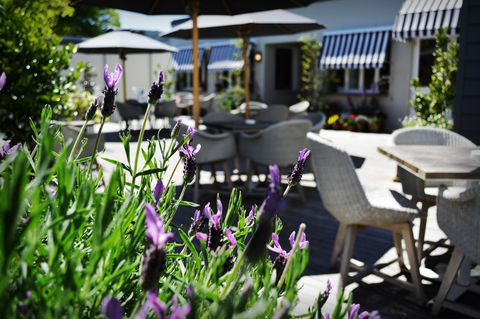 Royal Hotel Bowral - Perisher Accommodation 4