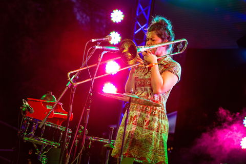 Agnes Blues, Roots And Rock Festival - Perisher Accommodation 2