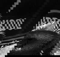 Girrakool Blues Festival and Barbecue - Perisher Accommodation