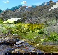 Hedonistic Hiking's Falls Creek to Hotham - Perisher Accommodation