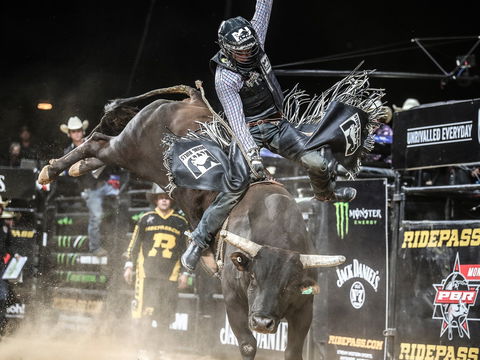 PBR Hawkesbury Stampede - Perisher Accommodation 0