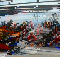 Recovery of the Great Barrier Reef expedition - Perisher Accommodation