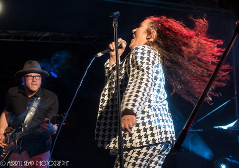 Wingham Akoostik Festival - Perisher Accommodation 0