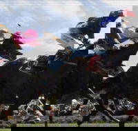 Batemans Bay Cup - Perisher Accommodation