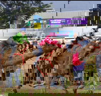 Camel Races at Gosford Showgrounds - Perisher Accommodation