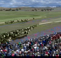 Cooma Sundowners Cup - Perisher Accommodation