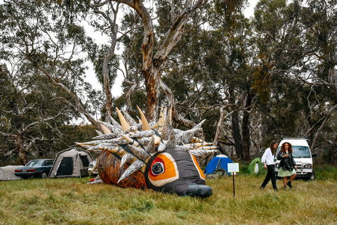 Field Good Festival - Perisher Accommodation 2