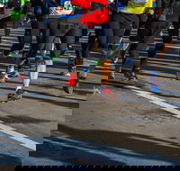 Moruya Town to Surf Fun Run - Perisher Accommodation