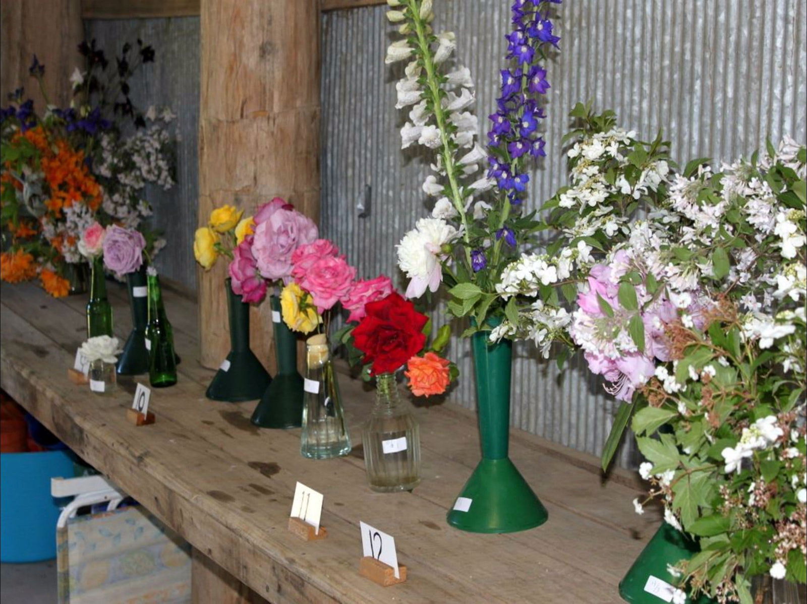 Neville NSW Perisher Accommodation