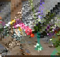 Neville Show - Perisher Accommodation