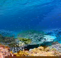 Recovery of the Great Barrier Reef - Perisher Accommodation