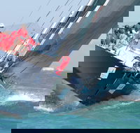 SeaLink Magnetic Island Race Week - Perisher Accommodation