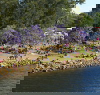 Shoalhaven River Festival - Perisher Accommodation