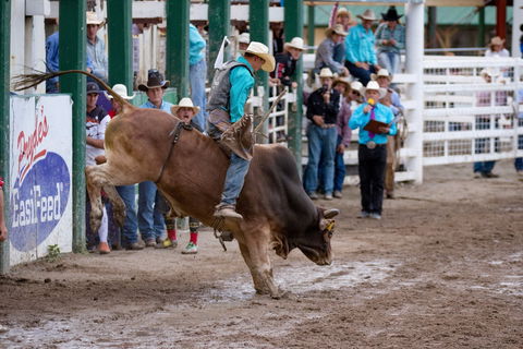 Warwick Rodeo National APRA National Finals And Warwick Gold Cup Campdraft - Perisher Accommodation 1