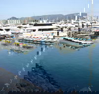 Airlie Beach parkrun - Perisher Accommodation