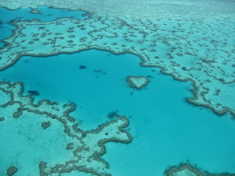 Australian Superyacht Rendezvous 2020 - Great Barrier Reef Edition - Perisher Accommodation 2
