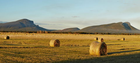 Digital Innovation & Smart Agriculture 2021 Festival - Perisher Accommodation 1