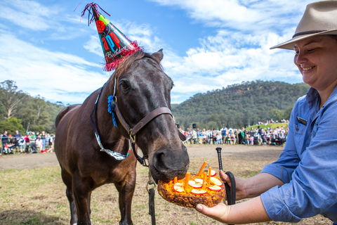Horses Birthday Festival - Perisher Accommodation 0