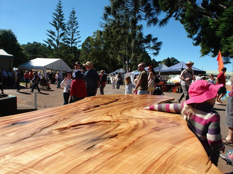 Maleny Wood Expo: From Seed To Fine Furniture - Perisher Accommodation 0