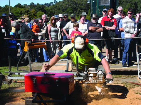 Maleny Wood Expo: From Seed To Fine Furniture - Perisher Accommodation 2