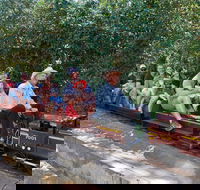 Twilight Run   Willans Hill Miniature Railway - Perisher Accommodation
