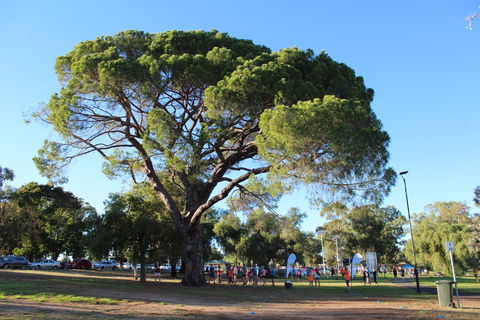 Wagga Parkrun - Perisher Accommodation 1