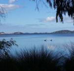 Lilacs Waterfront Villas  Cottages - Perisher Accommodation