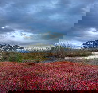 Saintys Creek Cottage - Perisher Accommodation