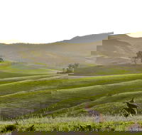 Ketchup's Bank Glamping - Perisher Accommodation