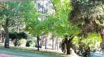 Eemnes Park Estate - Perisher Accommodation 6