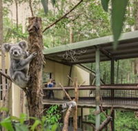 Springwood Meditation Vacation Center - Perisher Accommodation