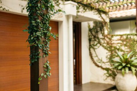 ESPRIT 2 PALM COVE BRAND NEW - Perisher Accommodation 0