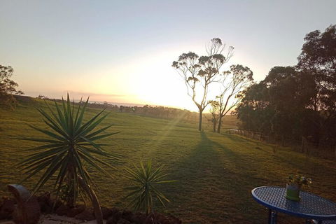 Dyl & Lils Tiny House On Wheels - Perisher Accommodation 1