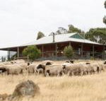 Gilgraves Vineyard Farmstay - Perisher Accommodation