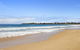 Sea Bird Close To Beach Shops & Cafes - thumb 6