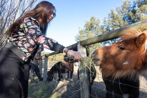 Jervis Bay Luxury Farm Escape - Perisher Accommodation 5