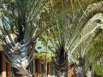 Somerville WA Perisher Accommodation