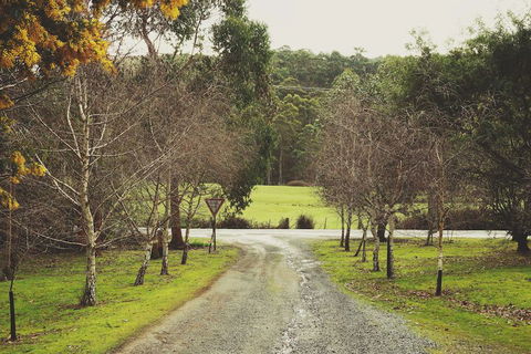 Oyster Cove Chalet - Perisher Accommodation 4