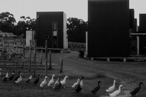 Barn Hives Yallingup - Perisher Accommodation 1