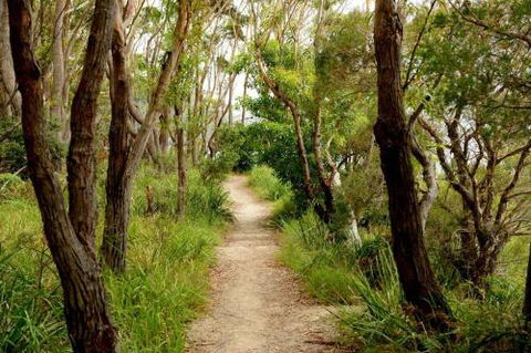 24 Hyam Road Hyams Beach - Perisher Accommodation 1
