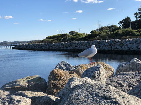 Albany Foreshore Guest House - Perisher Accommodation 3